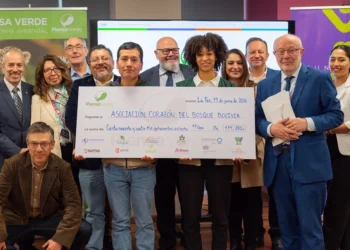 Asociación Corazón del Bosque gana los Fondos Concursables Piensa Verde 2026 con un proyecto para proteger a las abejas nativas de los Yungas