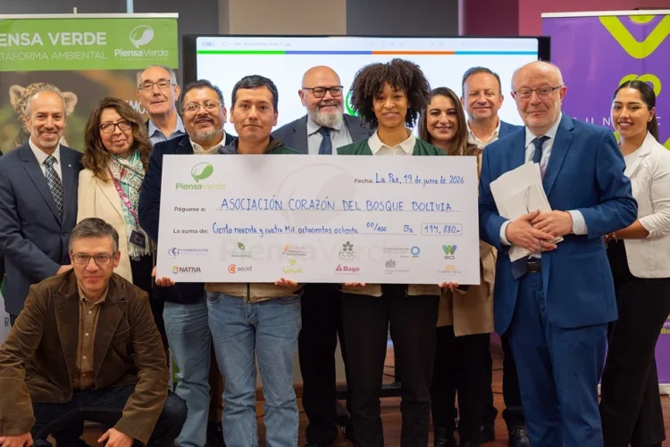 Asociación Corazón del Bosque gana los Fondos Concursables Piensa Verde 2026 con un proyecto para proteger a las abejas nativas de los Yungas