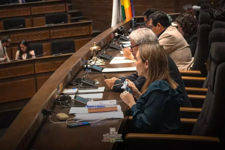 Diputados aprueban préstamo de $us 118,5 millones para el Proyecto de Resiliencia Climática en el Sector Vial