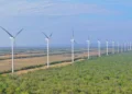 Parques eólicos de ENDE aportan 135 MW de potencia al sistema eléctrico nacional