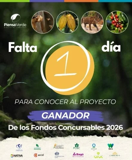 Este vienes se conocerá el proyecto ganador de los Fondos Concursables 2026 de Piensa Verde