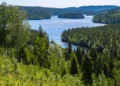 Noruega se convierte en el primer país del mundo en prohibir la deforestación