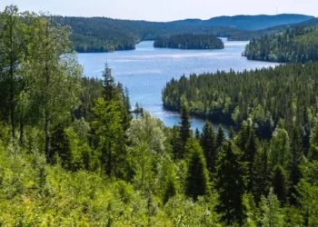 Noruega se convierte en el primer país del mundo en prohibir la deforestación