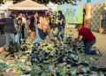 El “Gran Recreo Pilfrut” recupera más de 2 toneladas de bolsitas para reciclarlas