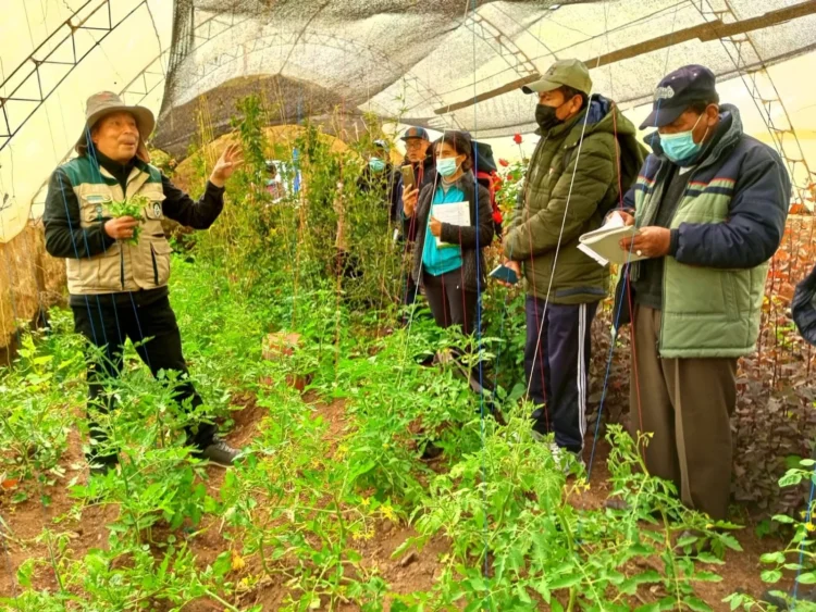 La UMSA respalda con investigación el cultivo de 66 especies adaptadas a ciudades de altura