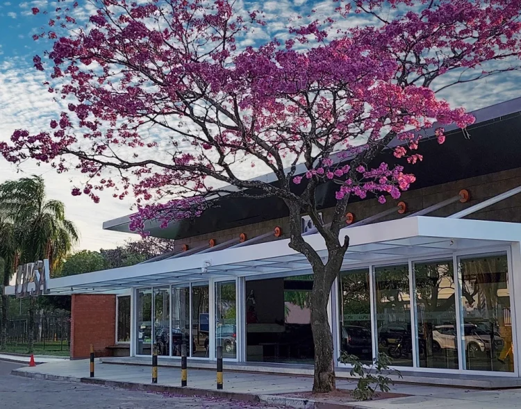 UPSA impulsa un modelo de campus sostenible e innovador con tecnología orientada al ahorro energético y el bienestar universitario