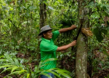 BancoSol, WCS y ACEAA logran la conservación de más de 13 mil hectáreas de bosque amazónico