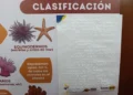 Banco BISA y el Museo Nacional de Historia Natural implementan acciones de inclusión