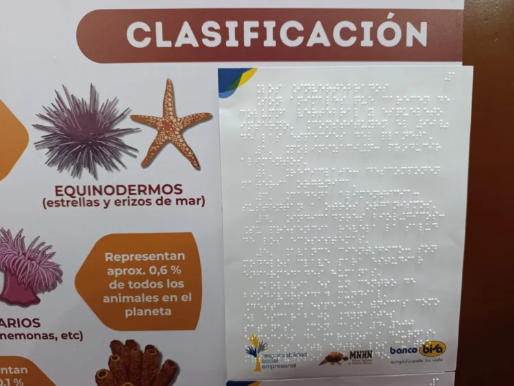 Banco BISA y el Museo Nacional de Historia Natural implementan acciones de inclusión