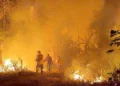Incendios forestales ponen nuevamente en riesgo áreas protegidas y parques nacionales