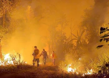Incendios forestales ponen nuevamente en riesgo áreas protegidas y parques nacionales