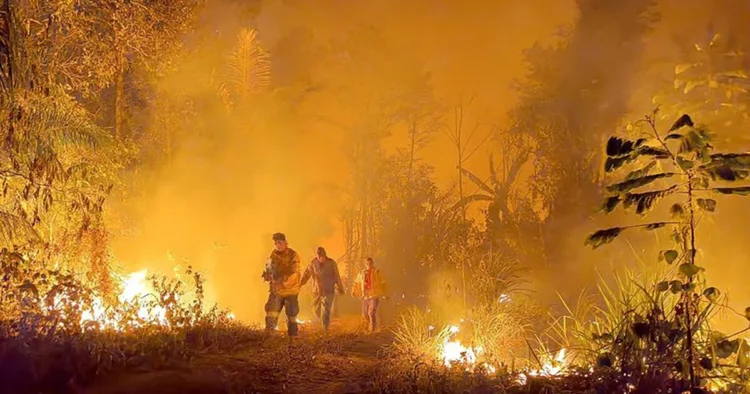Incendios forestales ponen nuevamente en riesgo áreas protegidas y parques nacionales