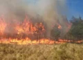 Ante incendios forestales juez de San Lorenzo prohíbe las quemas agrícolas