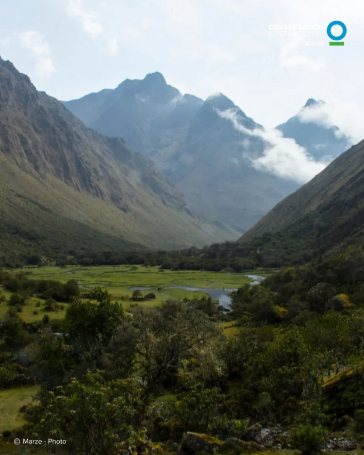 El Parque Nacional ANMI Cotapata celebra el 33 aniversario de creación