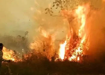 El Gobierno gestiona imágenes del Copernicus para fortalecer la atención de incendios forestales