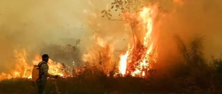El Gobierno gestiona imágenes del Copernicus para fortalecer la atención de incendios forestales