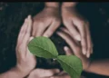 From Pushback to Prosperity: Unlocking Sustainability’s Strategic Value