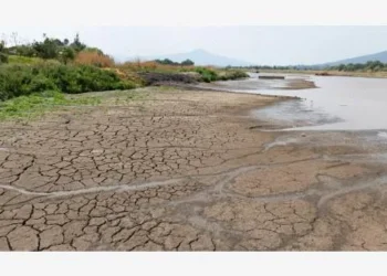 Informe del PNUMA señala que por cada dólar invertido en la acción climática se puede generar 15 veces más de retorno