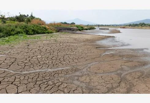 Informe del PNUMA señala que por cada dólar invertido en la acción climática se puede generar 15 veces más de retorno