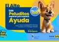 Campaña “Por los Peluditos de la Calle” beneficia al Albergue Génesis de El Alto con cerca de 400 kilos de alimento