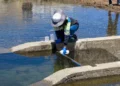 Toman de muestras para verificar la calidad del agua en la ciudad de El Alto
