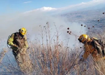 Incendios forestales bajaron en un 80% respecto al promedio de los últimos 20 años