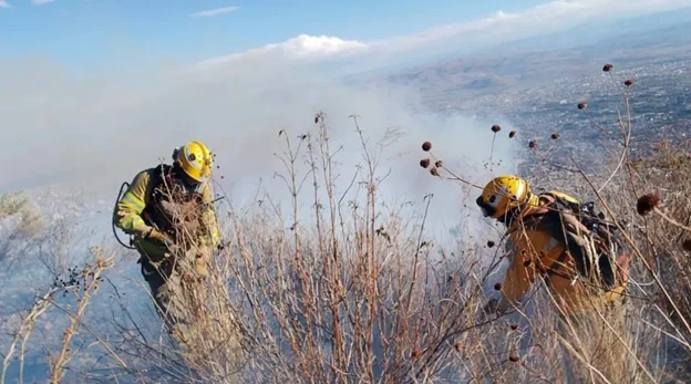 Incendios forestales bajaron en un 80% respecto al promedio de los últimos 20 años