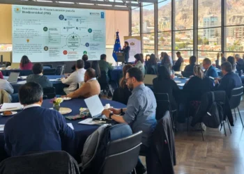 El PNUD comparte experiencias para movilizar recursos destinados a la biodiversidad