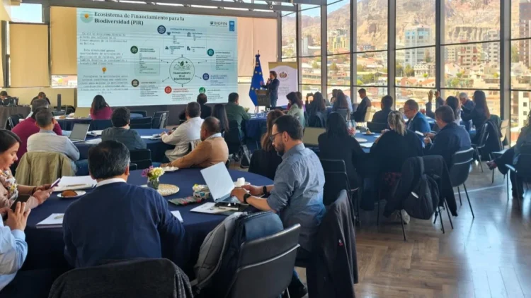El PNUD comparte experiencias para movilizar recursos destinados a la biodiversidad